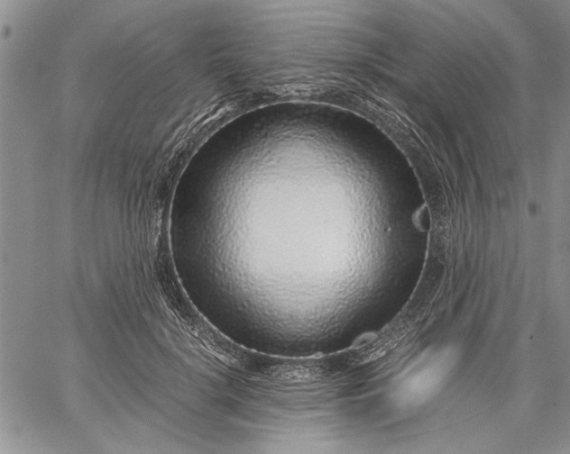 X0000062650652200601040919