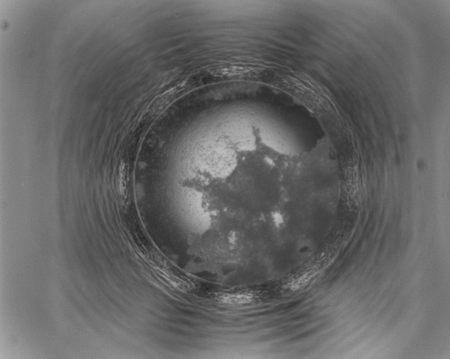 X0000062650653200601040919