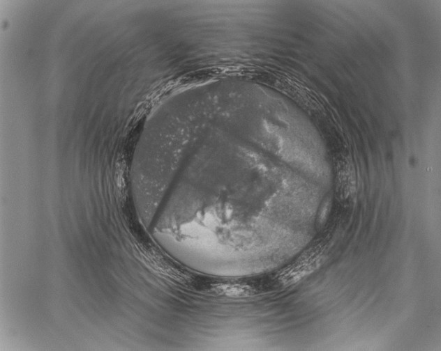 X0000062650654200601040919