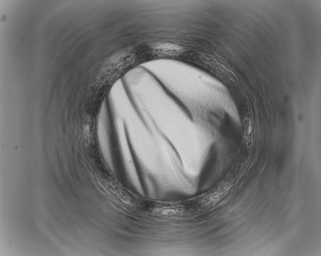 X0000062650655200601040919