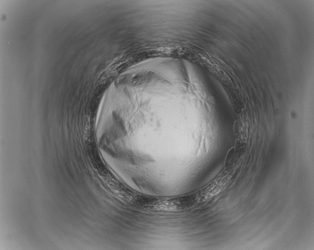 X0000062650656200601040919