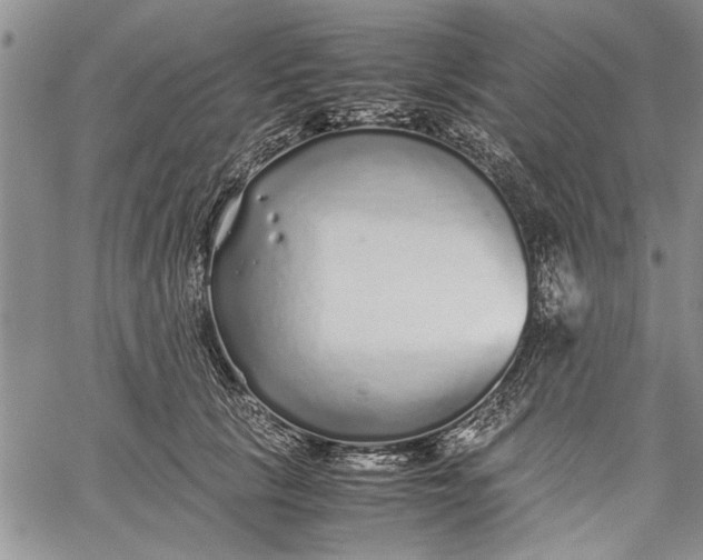 X0000062650657200601040919