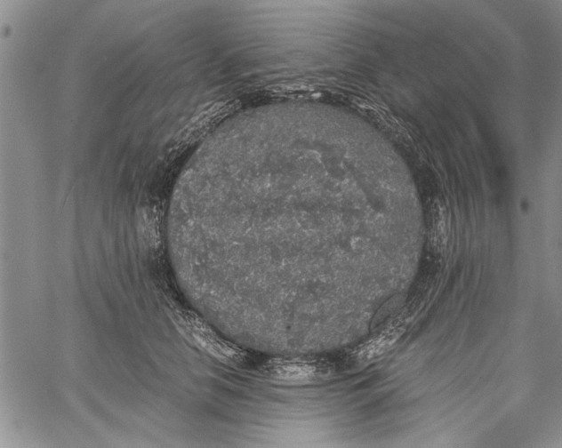 X0000062650658200601040919