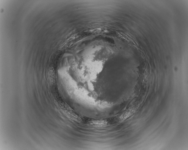 X0000062650659200601040919