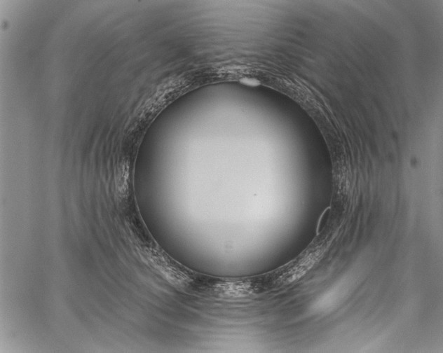 X0000062650660200601040919