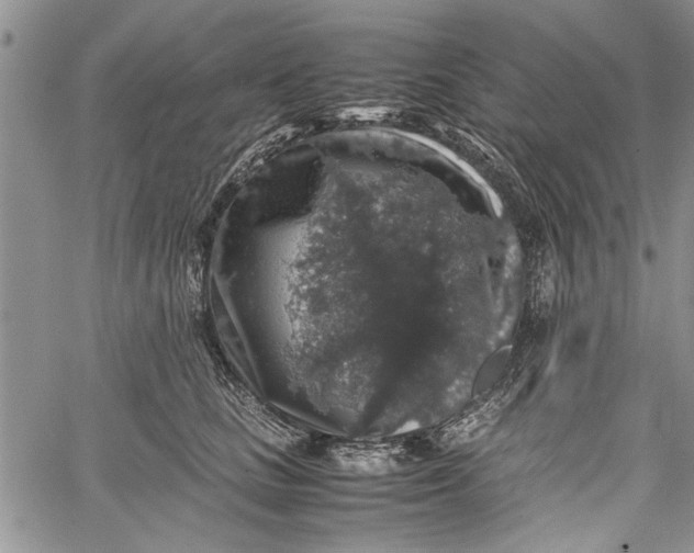 X0000062650661200601040919