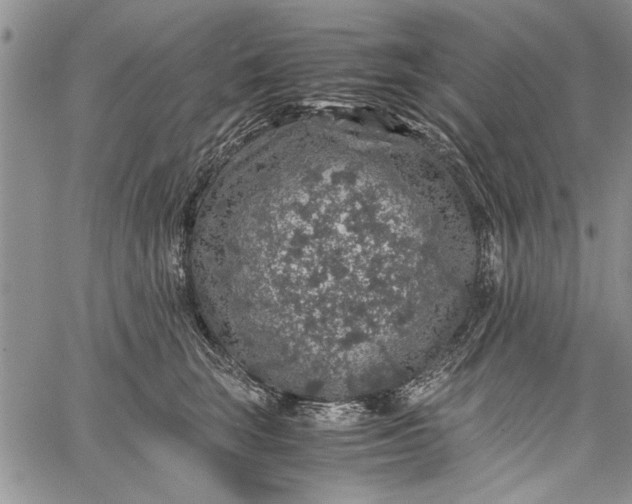 X0000062650663200601040919