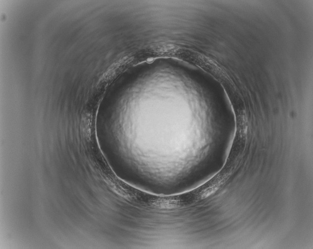 X0000062650664200601040919