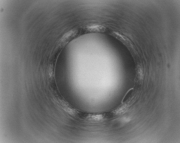 X0000062650665200601040919