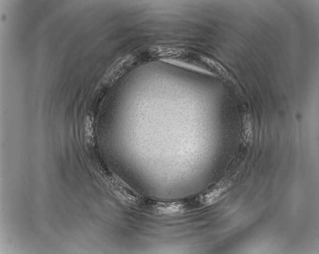 X0000062650667200601040919