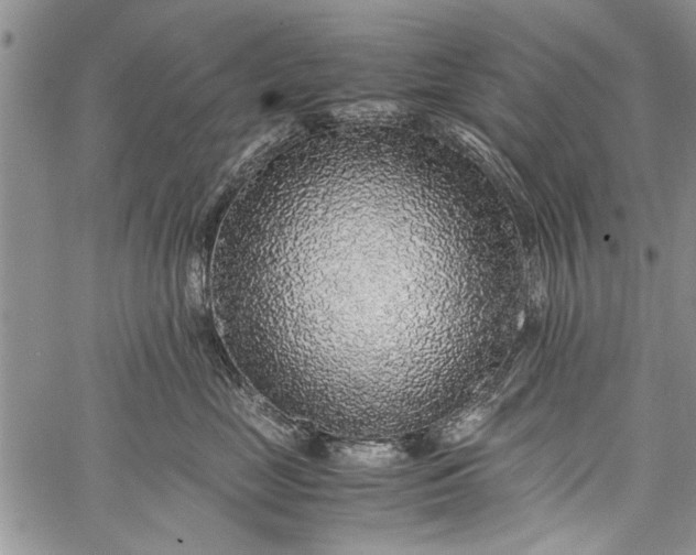 X0000062650669200601040919