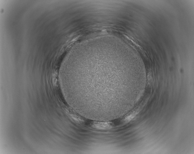 X0000062650671200601040919