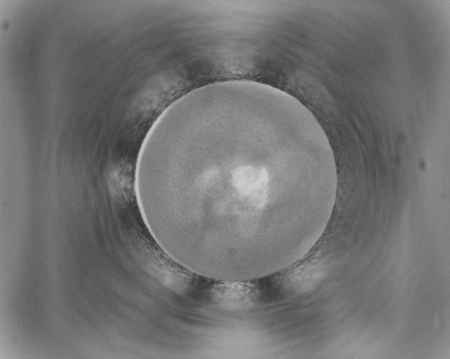 X0000062650672200601040919