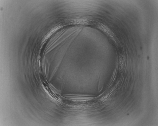 X0000062650674200601040919