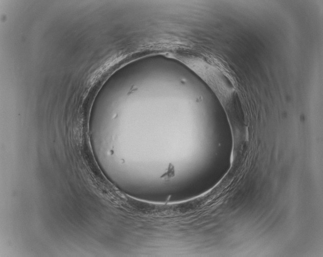 X0000062650675200601040919