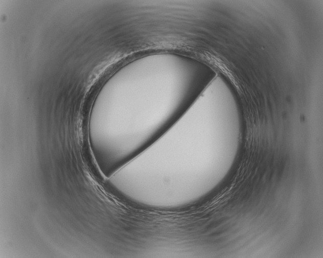 X0000062650676200601040919