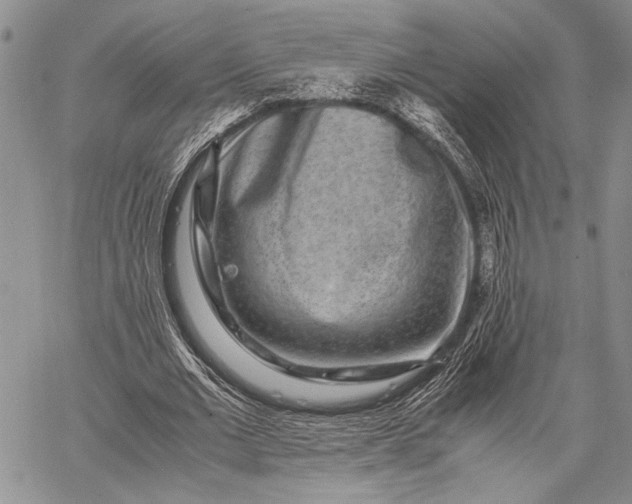 X0000062650677200601040919