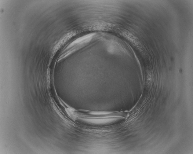 X0000062650678200601040919