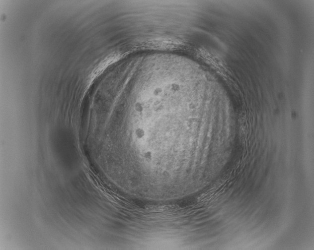 X0000062650679200601040918