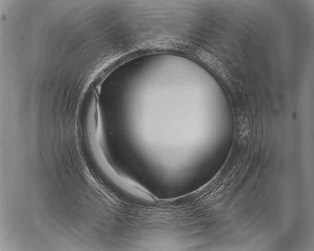 X0000062650680200601040918