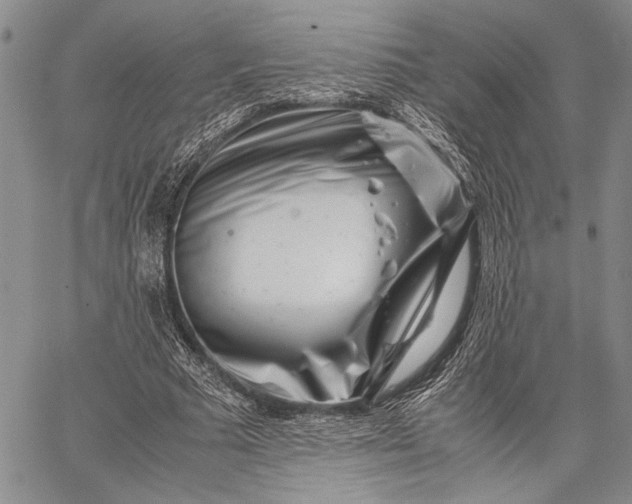 X0000062650681200601040918