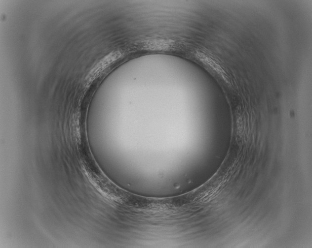 X0000062650682200601040918