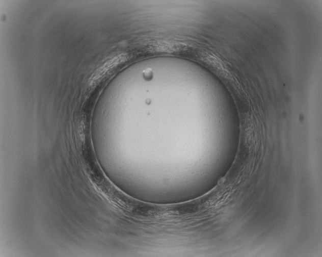 X0000062650683200601040918