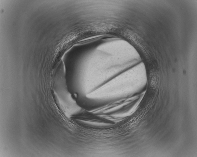 X0000062650685200601040918