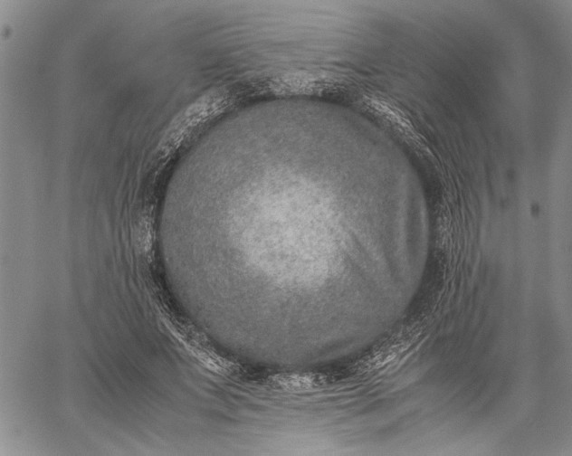 X0000062650687200601040918