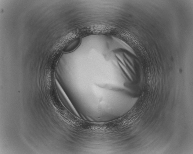 X0000062650690200601040918