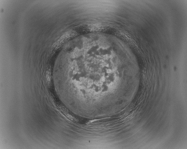 X0000062650691200601040918