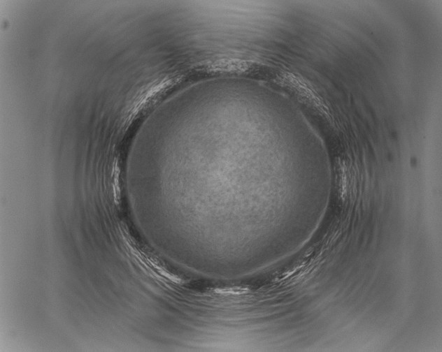 X0000062650692200601040918