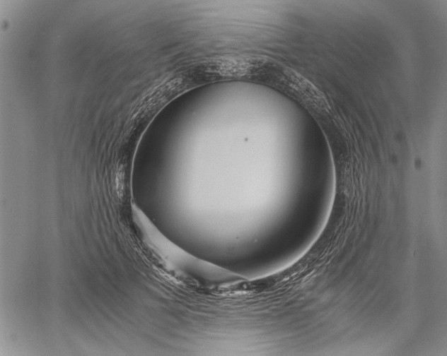 X0000062650697200601040918