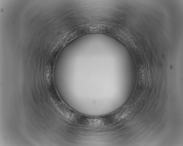 X0000062650698200601040918