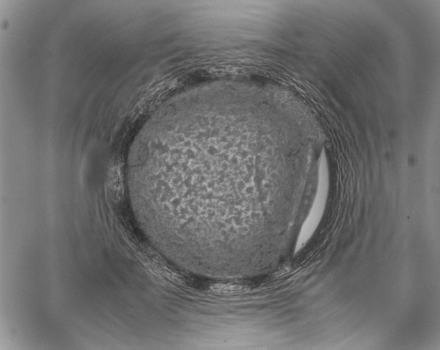 X0000062650699200601040918