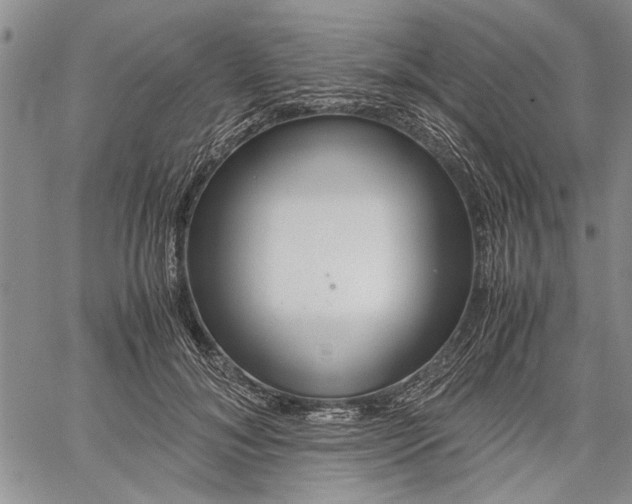 X0000062650700200601040918