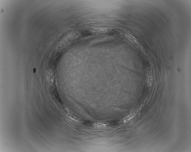 X0000062650701200601040918