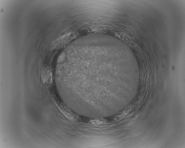 X0000062650703200601040918