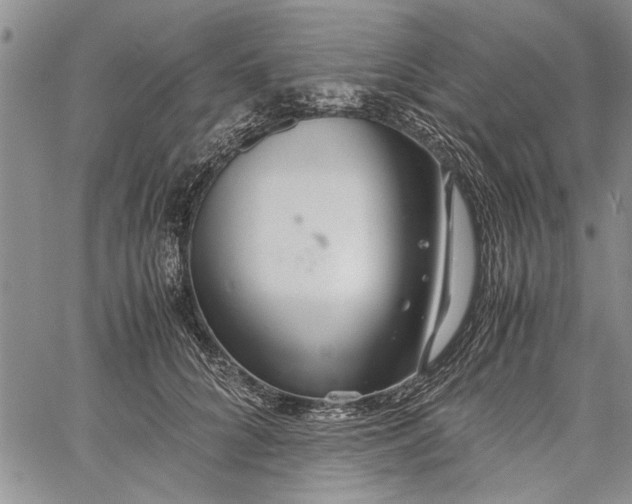 X0000062650704200601040918