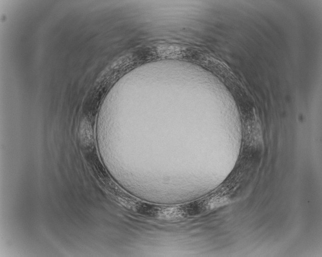 X0000062650705200601040918