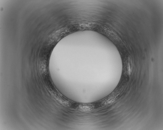 X0000062650706200601040918