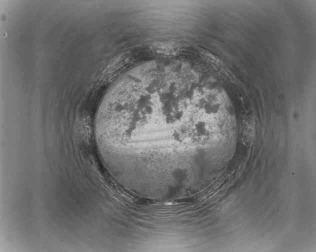 X0000062650707200601040918