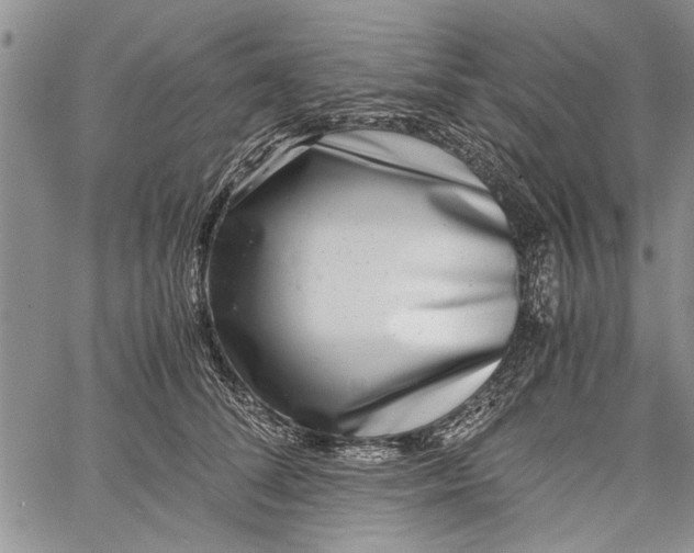 X0000062650708200601040918