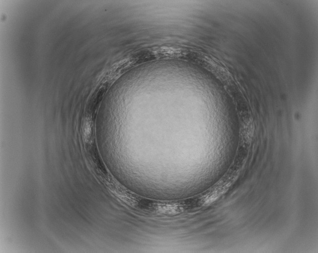 X0000062650709200601040918