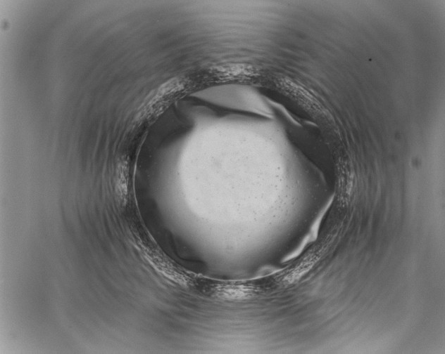 X0000062650710200601040918