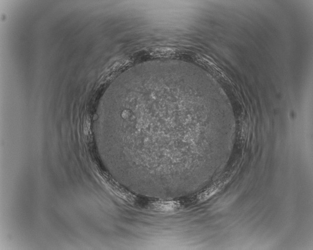 X0000062650711200601040918