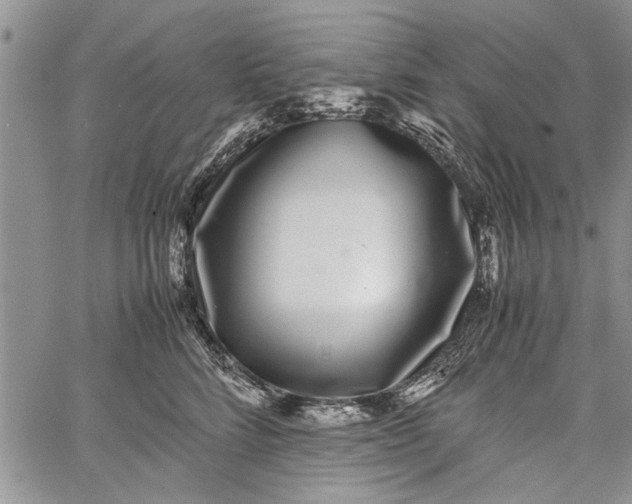 X0000062650712200601040918