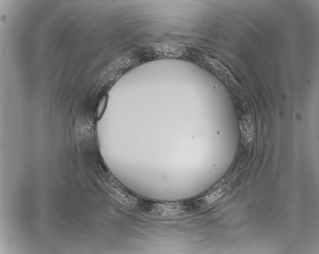 X0000062650713200601040918