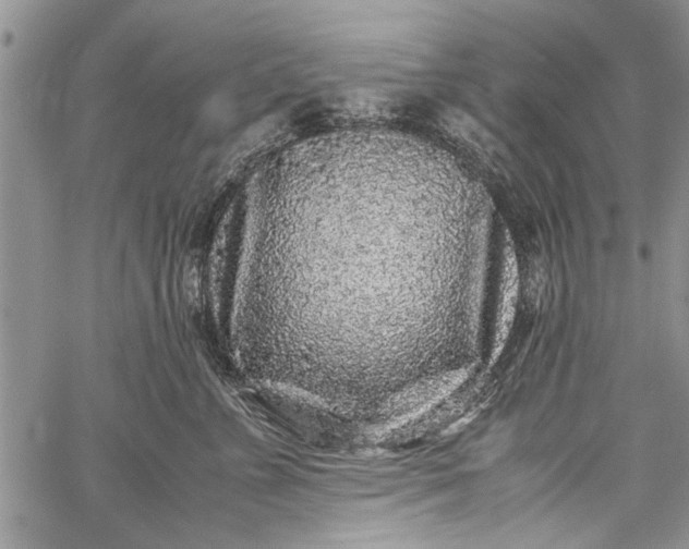 X0000062650715200601040918