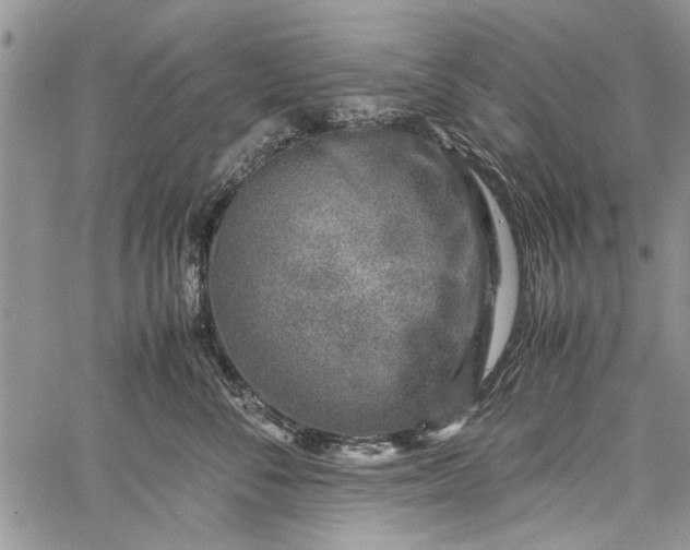 X0000062650716200601040918